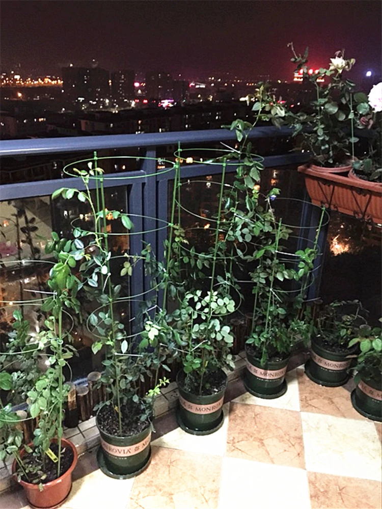 TB2_GRAjFXXXXbRXpXXXXXXXXXX_!!0-rate