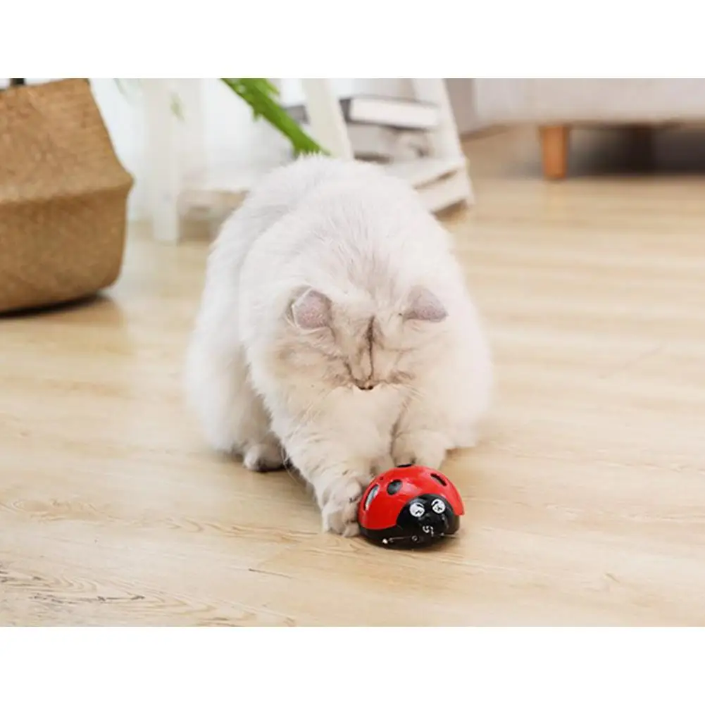 HobbyLane игрушка для домашних животных, кошек и собак, светодиодный светильник, супер забавная игрушка для кошек, электрическая игрушка для домашних животных, товары для котят