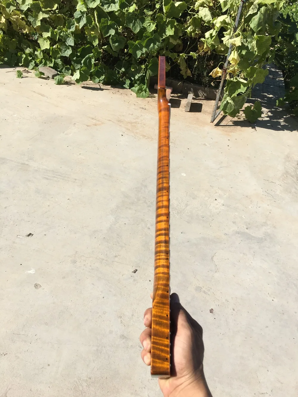 QQ图片20200902083347