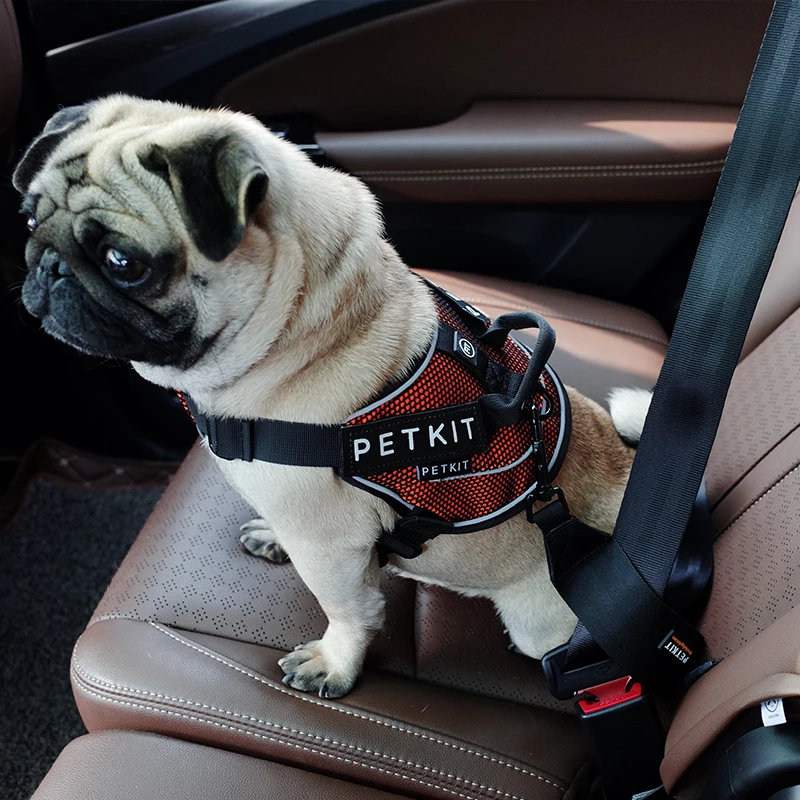Xiaomi PETKIT для домашних животных, собак, кошек, автомобильный ремень безопасности, поводок, поводок для путешествий на открытом воздухе, товары для домашних животных, ремни безопасности для собак