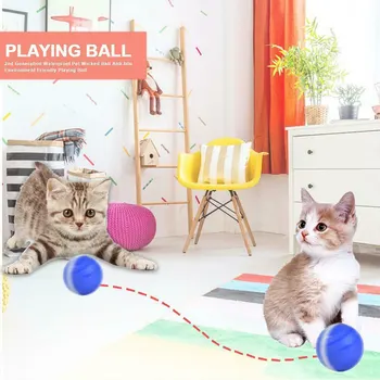 

Plastic Glowing Wicked Ball Pet Dog Cat Toys Electric LED Waterproof Roller Ball Toy OCT998