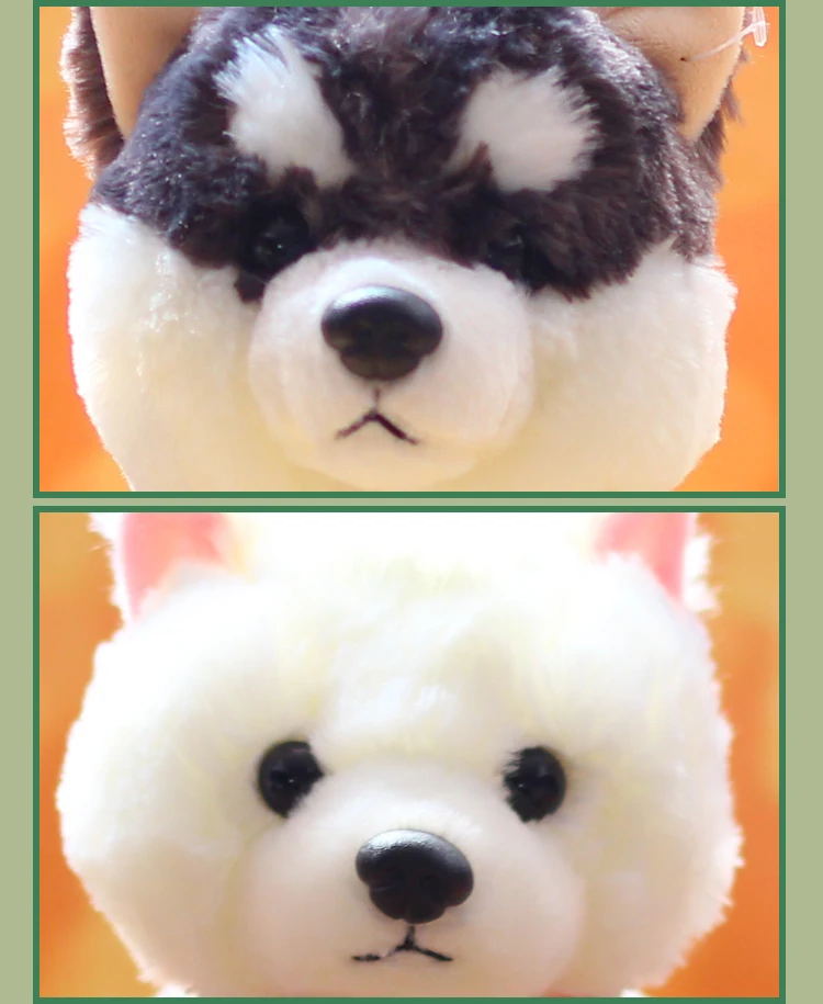 O1CN01v4U1GS26rWCLrP1uL_!!1932457715