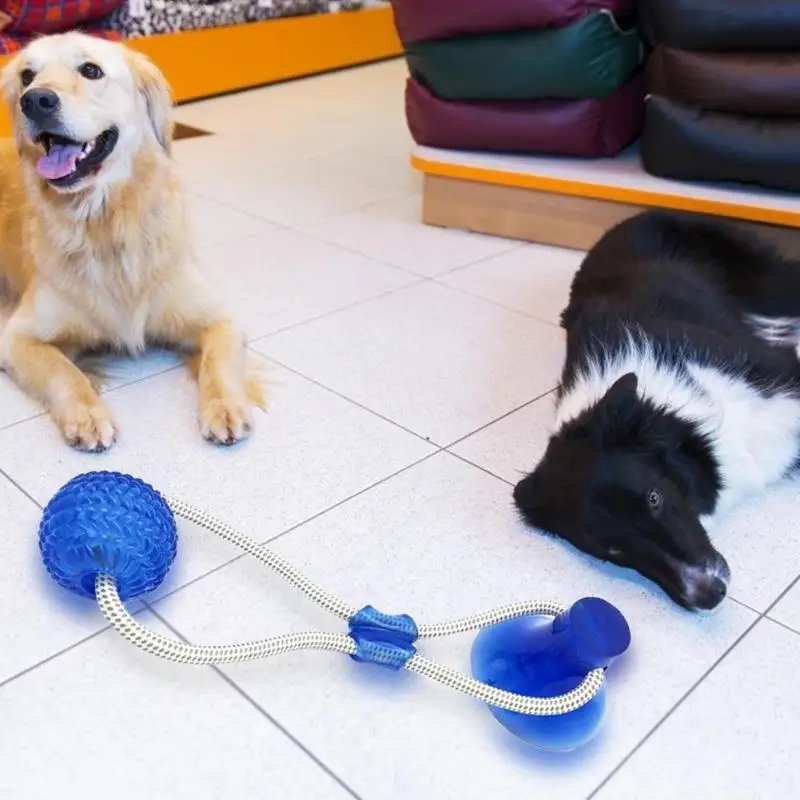 Multifunction Pet Molar Bite Dog Toys Rubber Chew Ball Cleaning Teeth Safe Elasticity Soft Puppy Suction Cup Dog Biting Toy