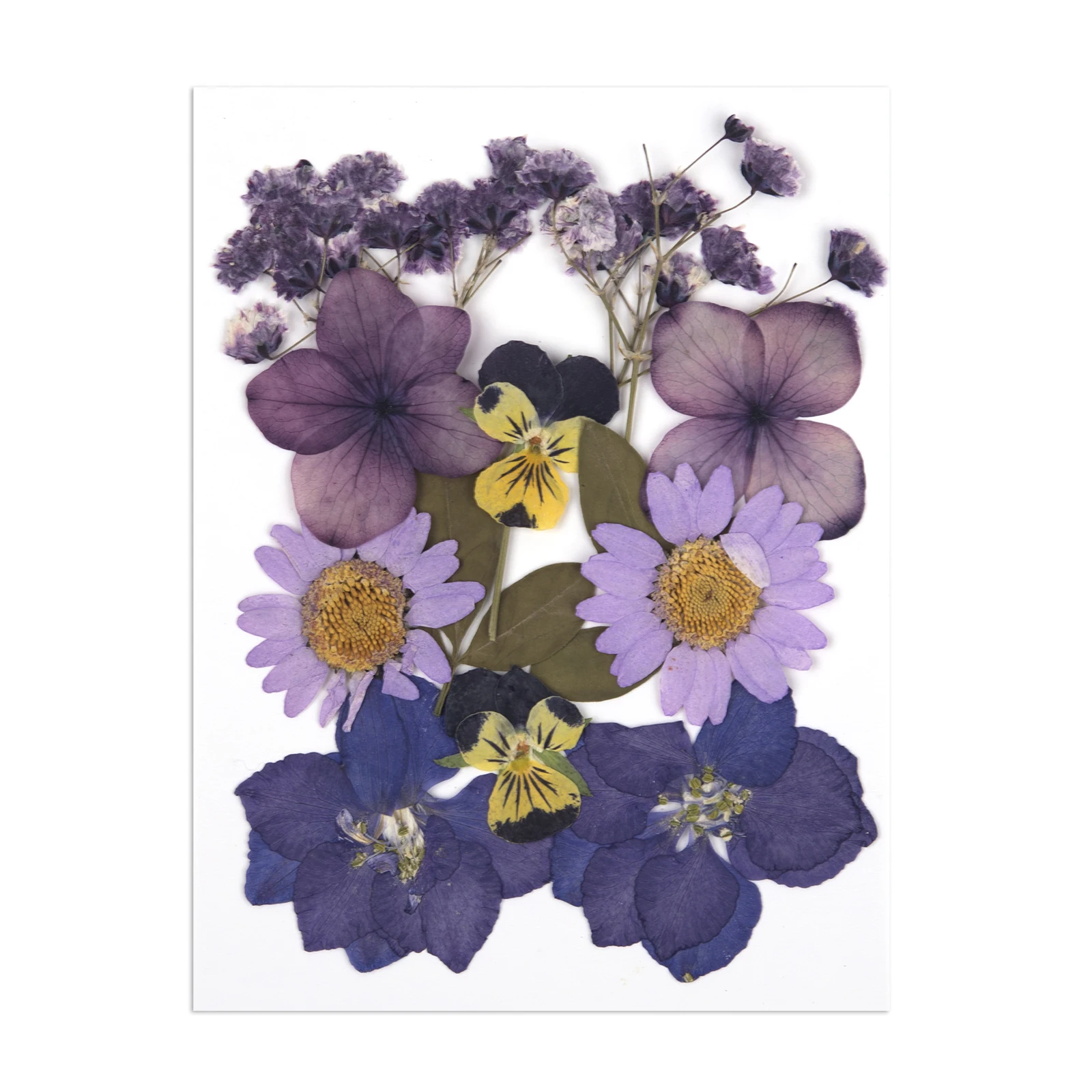 Decor Flower Resin Epoxi Dried Flowers DIY Natural Plant UV Epoxy Resin