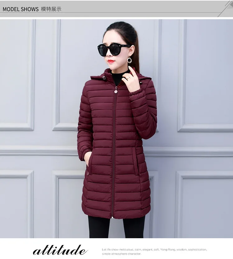 off Season Processing Cotton-padded Clothes Women's Mid-length Thin Slim Fit Korean-style Cotton-padded Jacket down Jacket