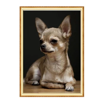 

MEIAN 2020 Animal Full Round/Square Diamond Painting Cross-Stitch Dog Broidery Animal Mosaic Drill Rhinestone Home Decor