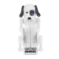 Computer Peripherals