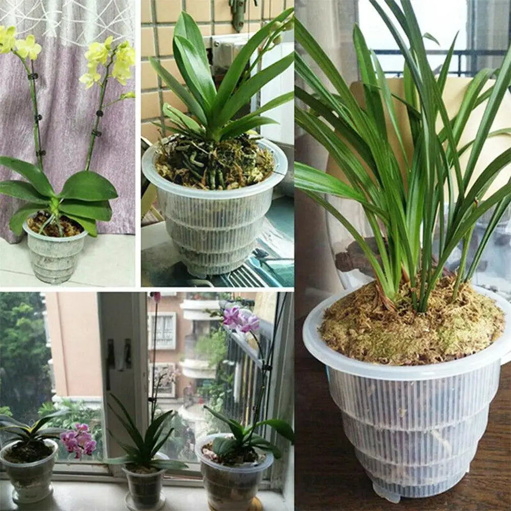 Planter Transparent Orchid Pots Orchids Holes Mesh Plant Pot
