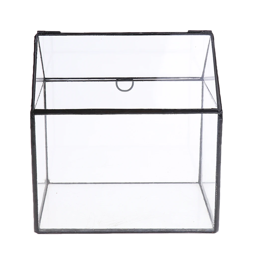 Irregular Glass Geometric Terrarium Box Tabletop Succulent Air Plant Fern Moss Pot Planter