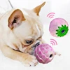 1pc 10/14cm lotus flower Ball Toys For Pet Dogs Rubber Resistance To Bite Puppy Chew Toys Pet Interactive Training Products