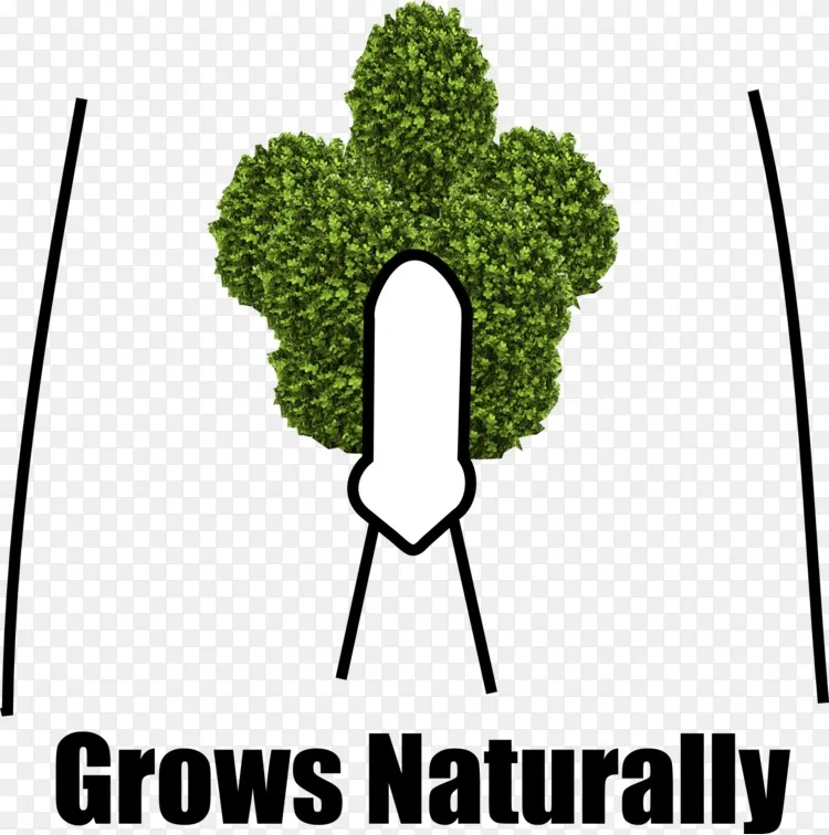 组织商业疾病阴毛综合症 人之美png图片素材免费下载 图片编号 Png素材网