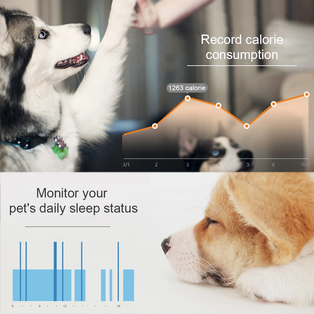 Мини-любительский трекер монитор активности умный трекер для домашних животных фитнес-трекер для собак Поддержка iOS/Android