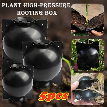 

5pcs Plant Rooting Ball Grafting Rooting Growing Box Case Equipment High-pressure Transmission Ball High-pressure Box