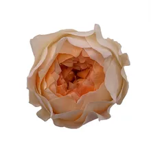 Zakonserwowane kwiaty róża nieśmiertelny 3 CM dzień matki DIY wieczne materiały prezenty ślubne do dekoracji gości tanie tanio CN (pochodzenie) rose eternelle Suszone kwiaty gift box Główka kwiata Ślub Rattan dry flower rose artificielle