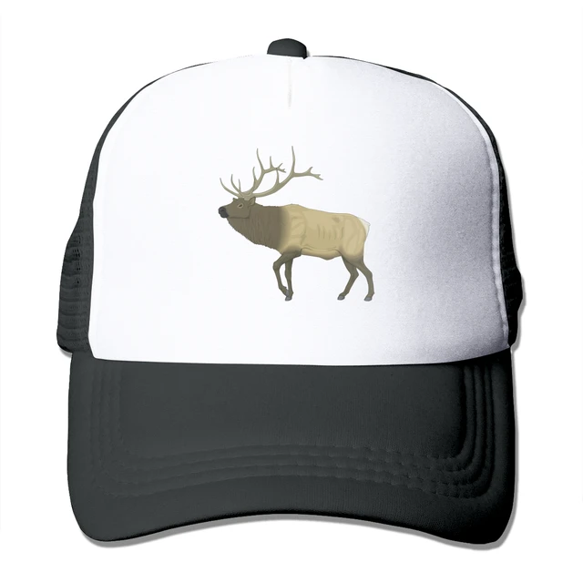 baseball cap illustration