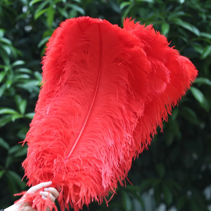 Popularización de plumas Rojas  Decoraciones de vestidos de boda