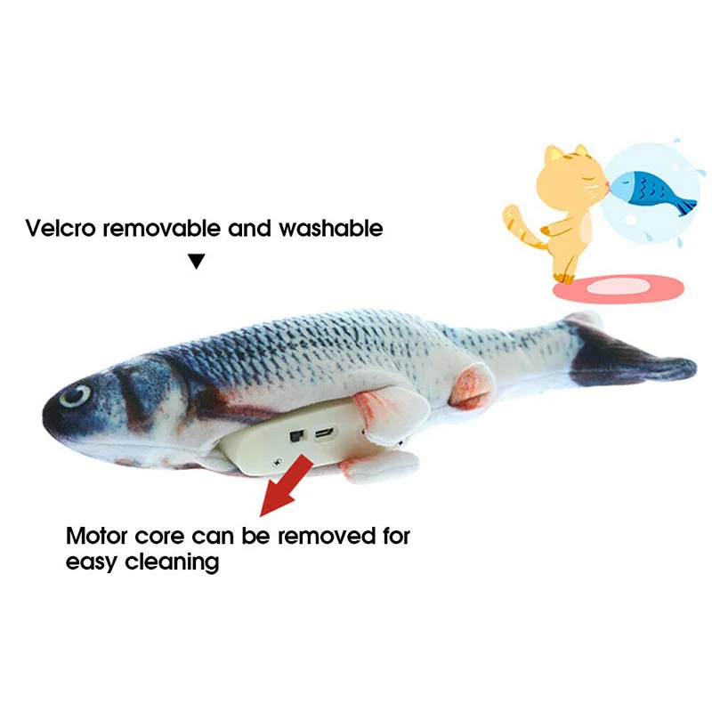 ikan yang tidak gatal