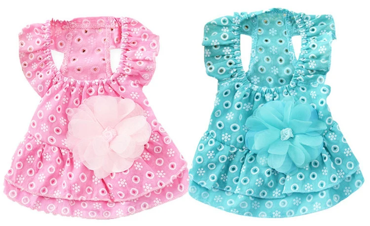 11689908198_1368698927