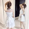 New Fashion Ladies Feather Tassel Embroidered Lace Vest Dress Fashion Sexy Temperament Girl Party Casual Beach Dress 4