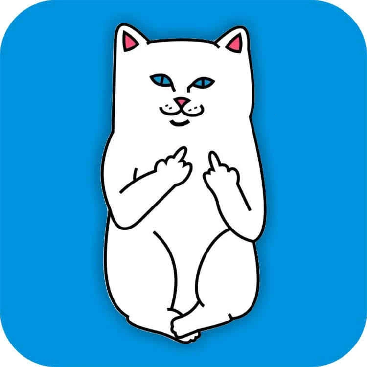 Мультяшные животные средний палец кошка прекрасная удача кошка боксерские броши-кошки для женщин и мужчин подарок аксессуары для одежды