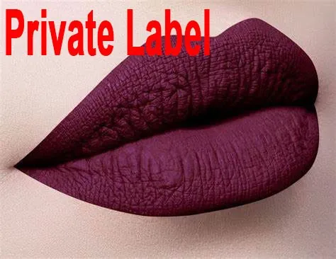 

private label matte liquid lipstick lip gloss custom logo on tube container box-Non-stick cup non-fading matte lip gloss
