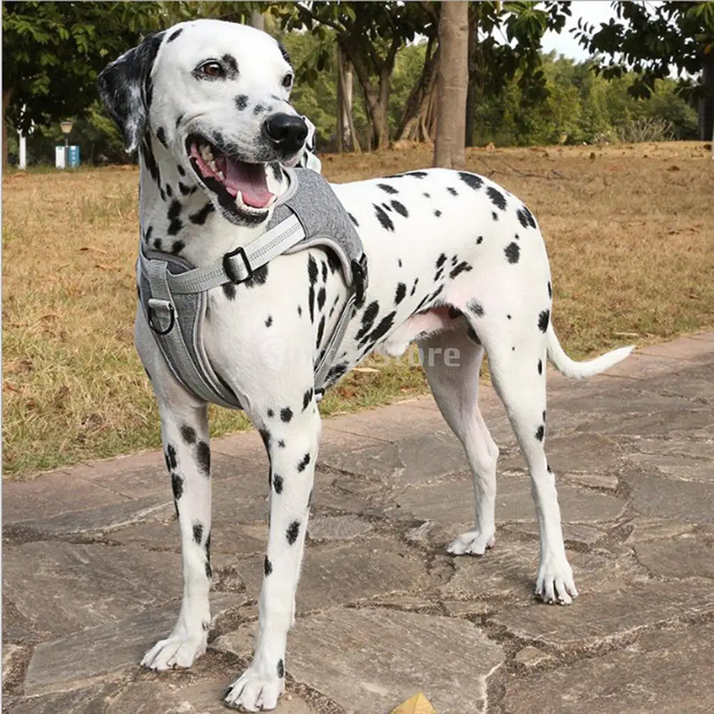 Dog Harness Vest Pet Traction Rope Pet Chest Strap Leashes S/M/L Size