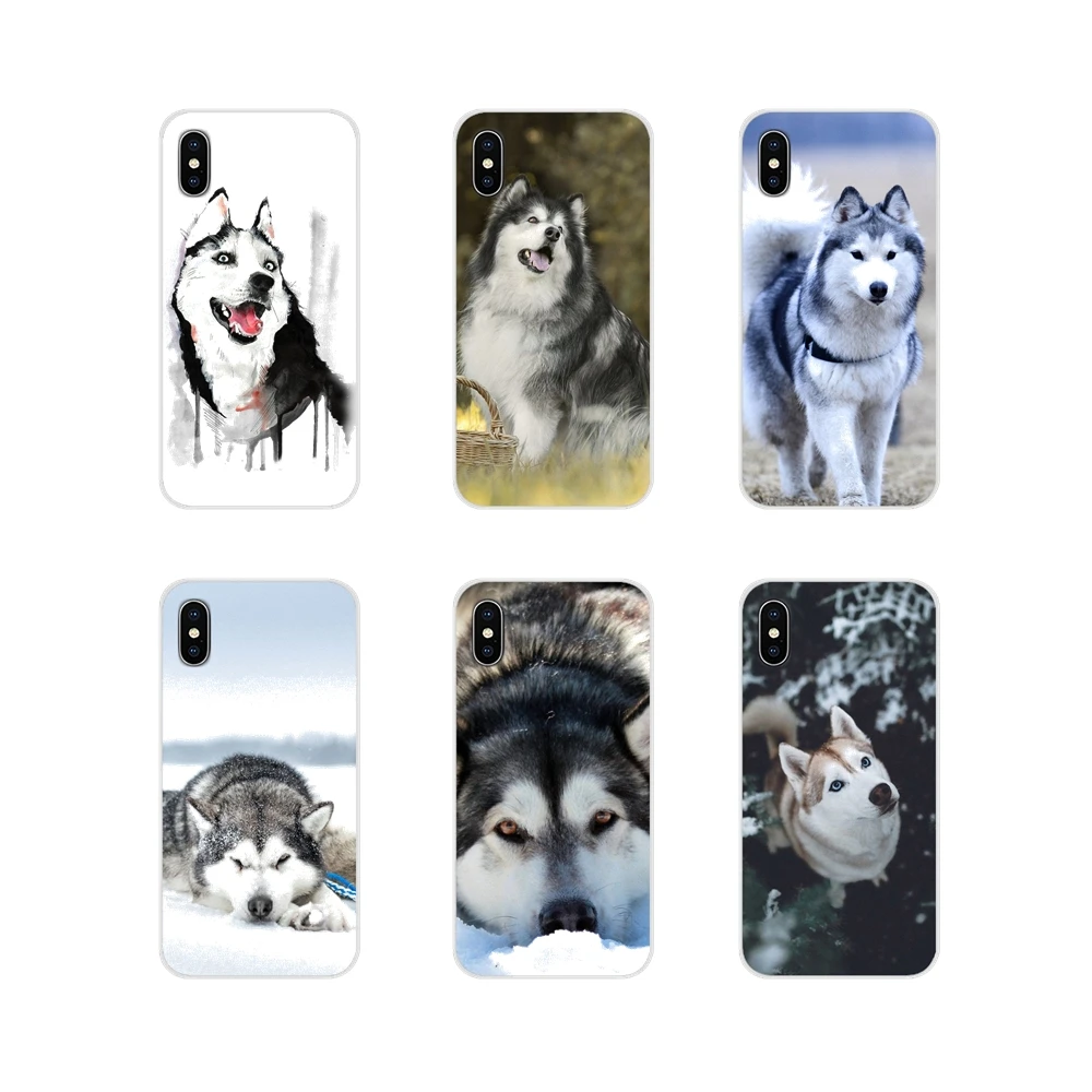 Аксессуары чехол для телефона Husky cute для Xiao mi 4 mi 5 mi 5s mi 6 mi A1 A2 5X6X8 9 Lite SE Pro mi Max Mix 2 3 2S