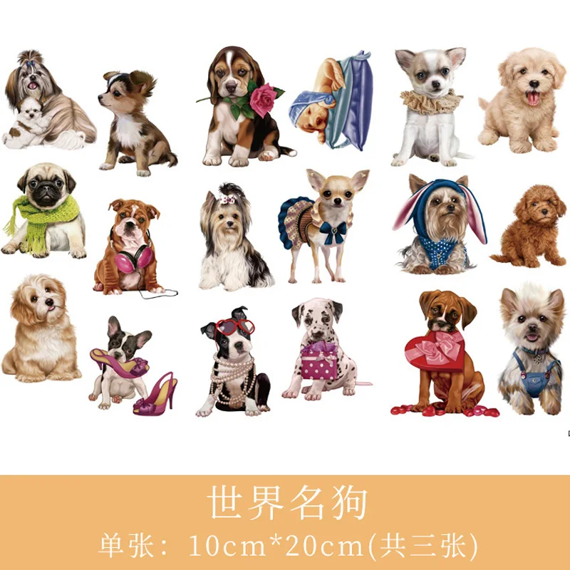 9355362173_1904087305