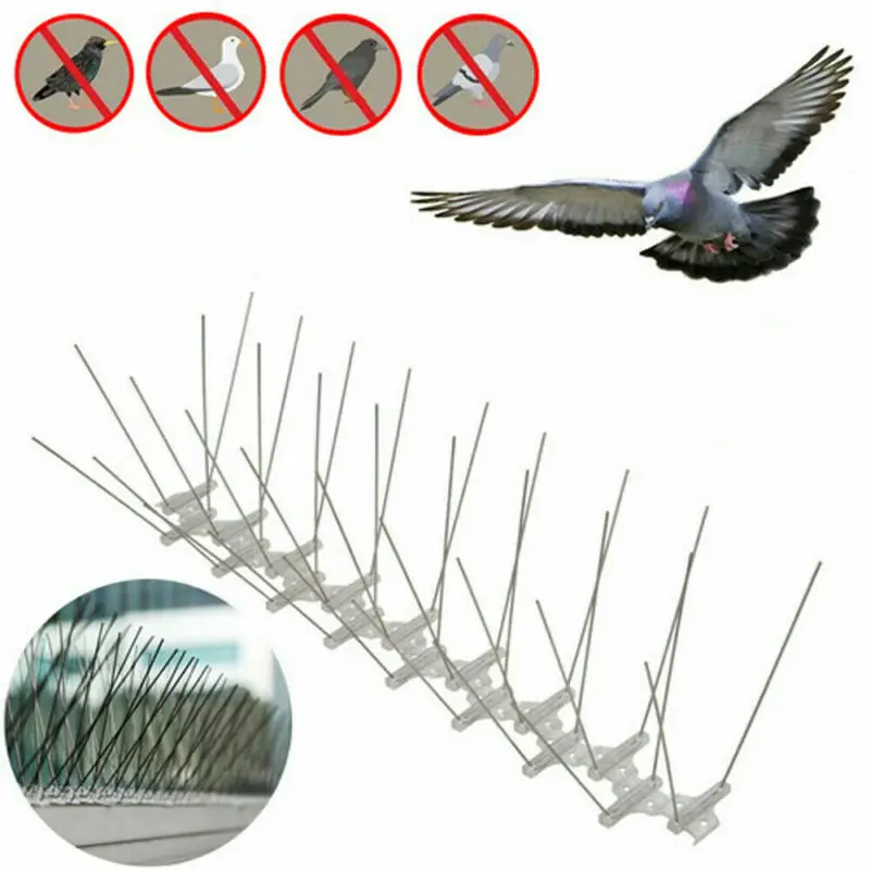 Stainless Steel Bird Repellent Spikes Ecofriendly Anti Pigeon Nail Deterrent Tool For Pigeons