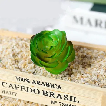 

50pcs NEW Plant Extraction Bath Salt Artificial Succulent Home Garden