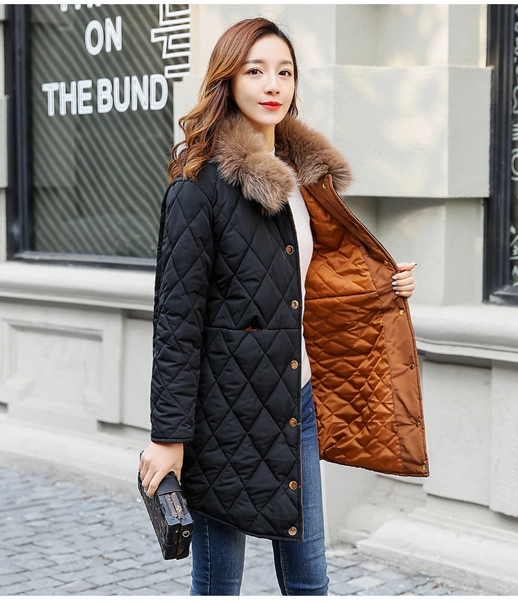 O1CN01gjLKO51v6pyvYHP2F_!!2066926124