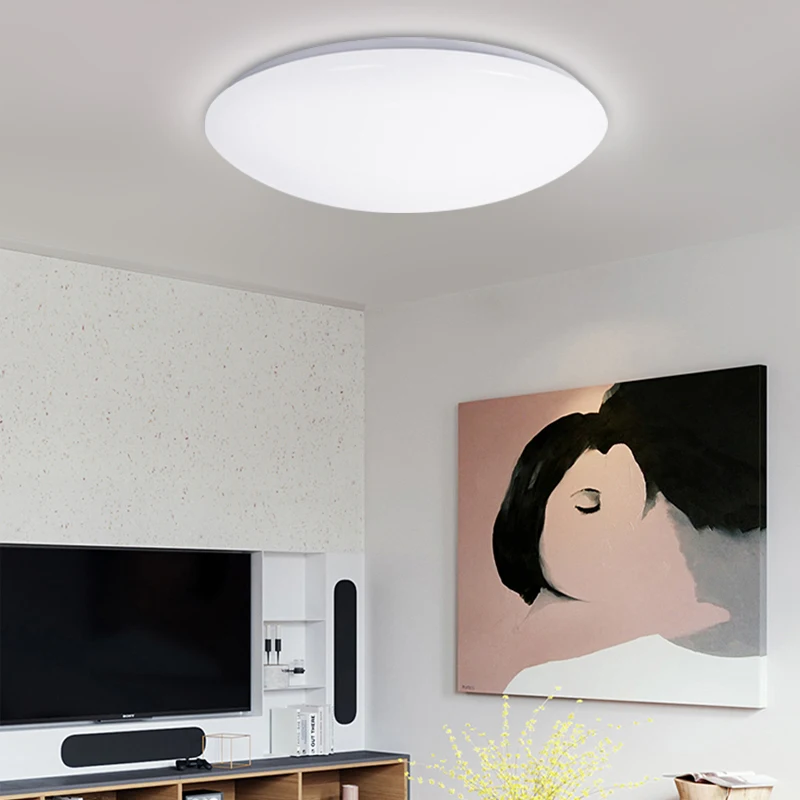 Led Ceiling Light Modern Bedroom Living Room Lights Surface Mounted Led Light Ceiling Lamp Balcony  - 4000269491104