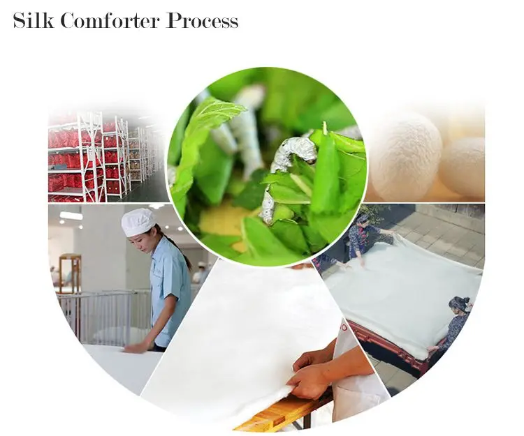 8982697846_694150972