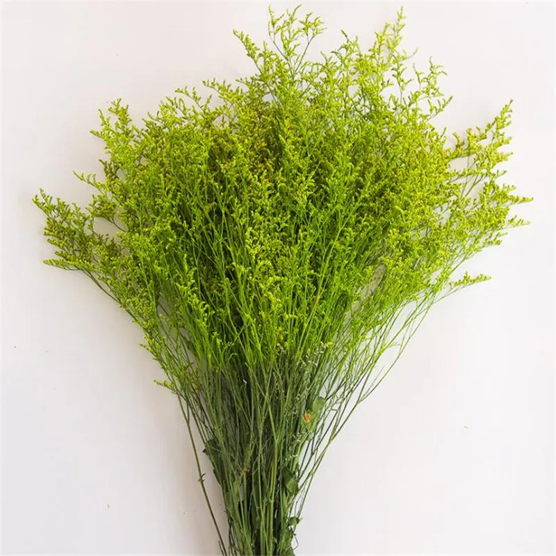 QQ截图20190806164901