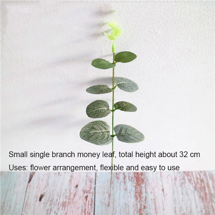 10763467319_1735480233