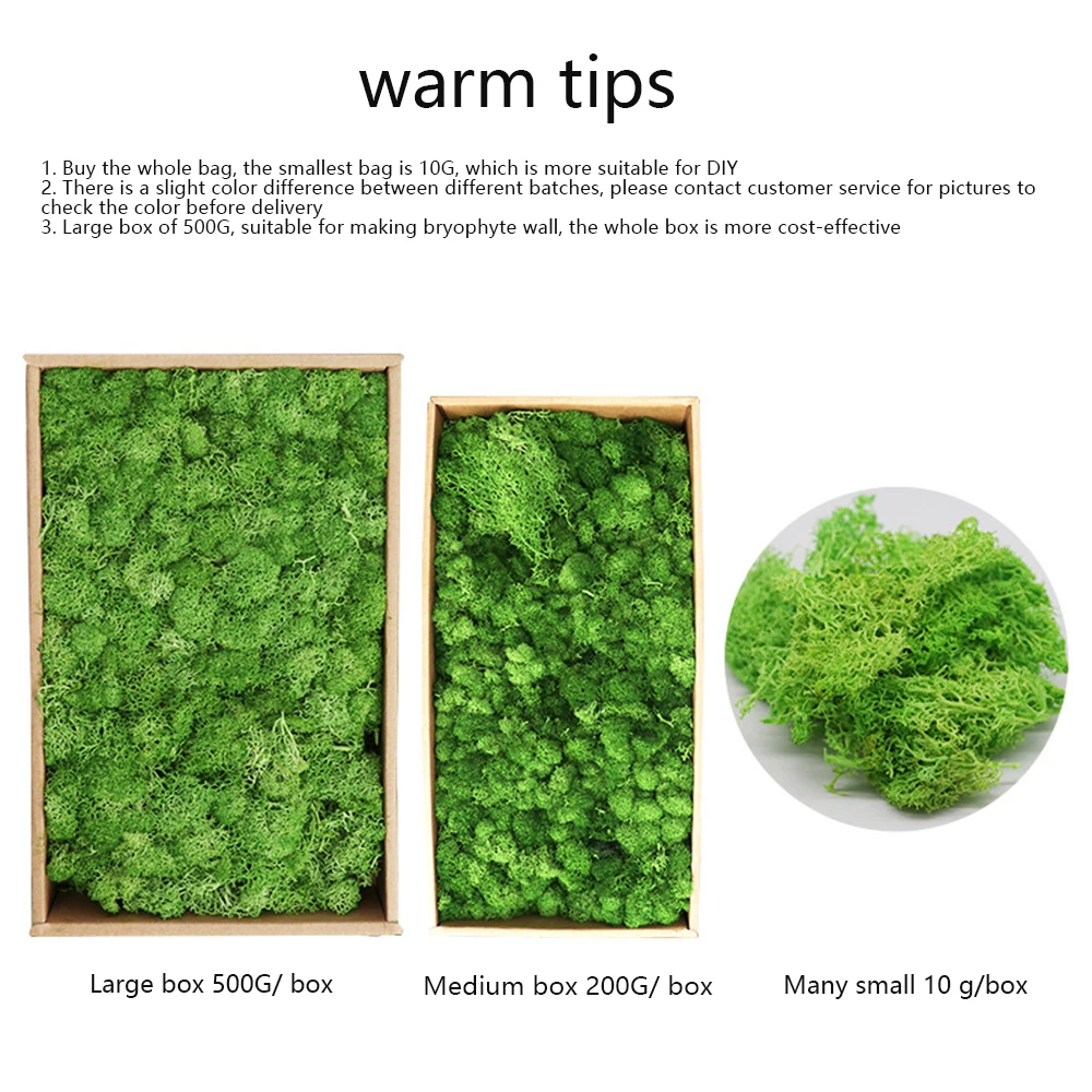 DIY Творческий искусственные зеленые горшечные растения сушеные Ягель цветы для