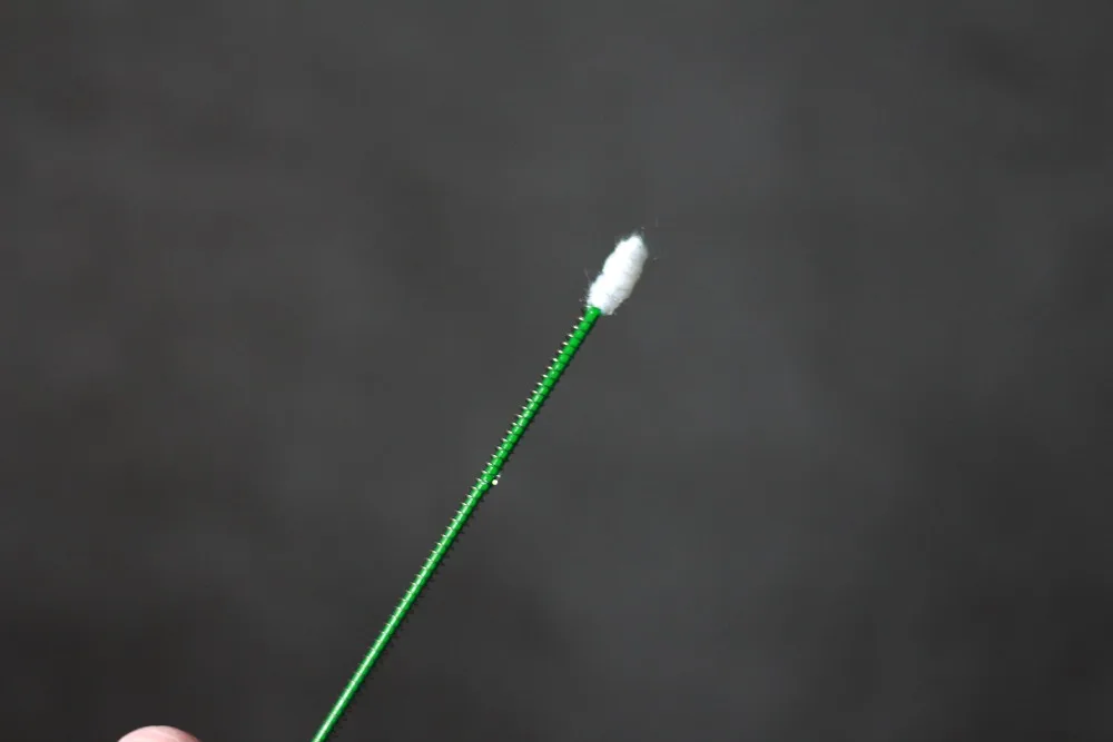 自动火把玫瑰 (2)