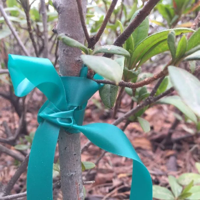 

Elastic Green Pvc Cable Tie Tape Strap Plant Horticultural Strap