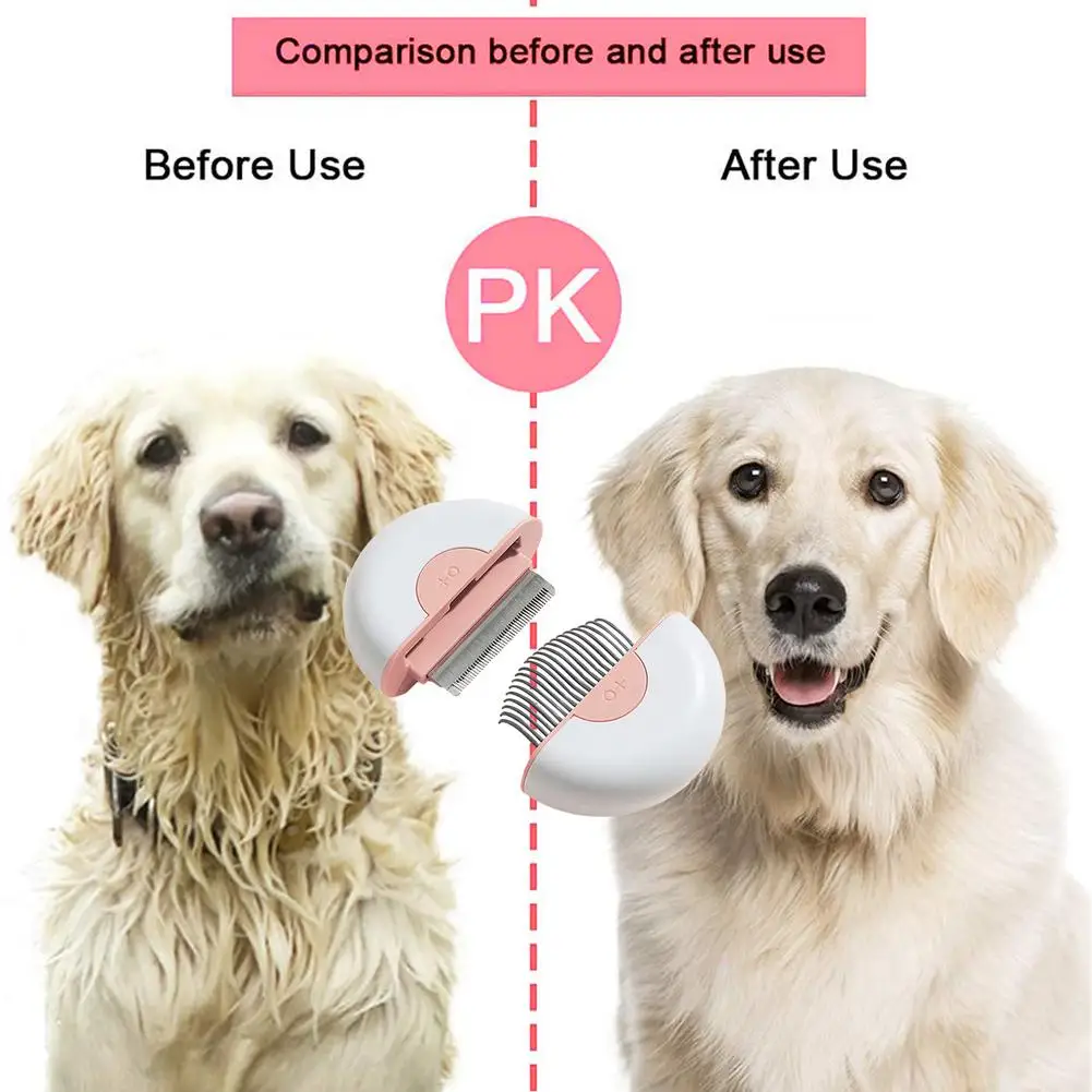 How Many Fingers Should A Dog Have