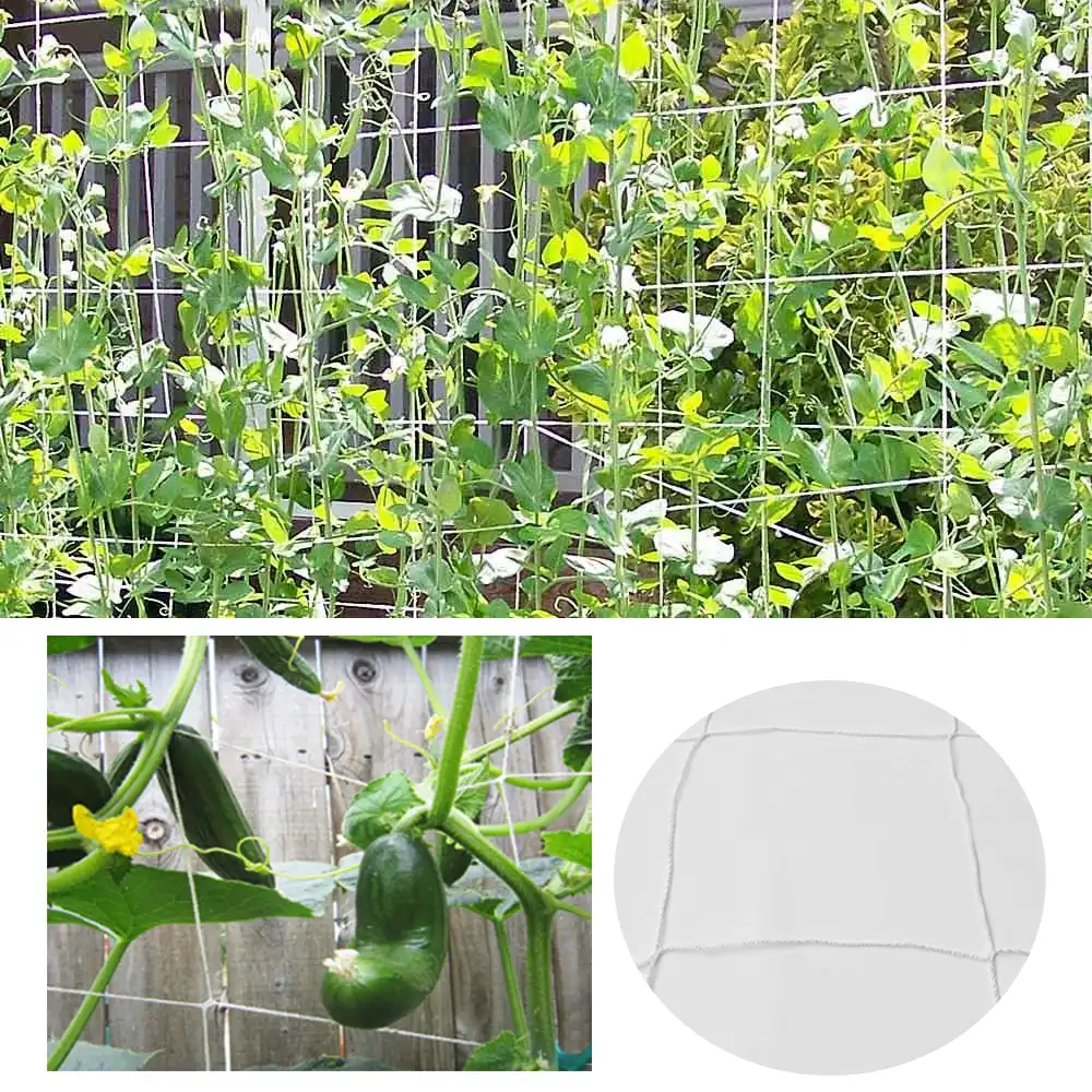 Plant Climbing Net Mesh Flower Cucumber Plants Landing Net Frame Support Mesh Vine Trellis Netting Garden Scrog Net Plant Net Grow Bags Aliexpress