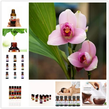 

Plant Fragrance Essential Oil Massage Humidifier Tea Tree Honeysuckle Peppermint Eucalyptus Lemongrass Lavender Ginger Aroma
