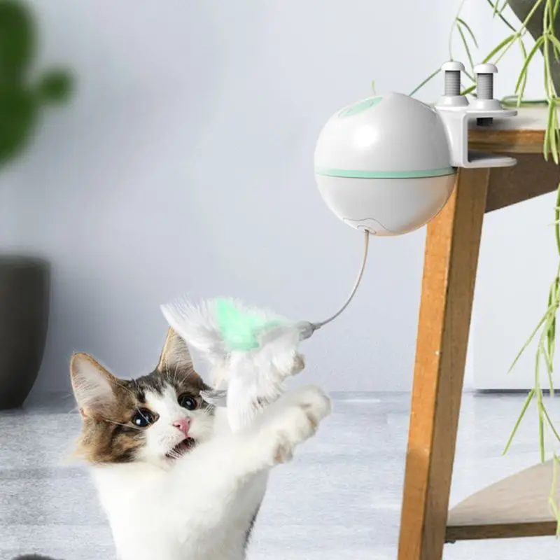 Usb зарядка электронный Забавный Кот Игрушка прорезыватель Электрический подъемный мяч