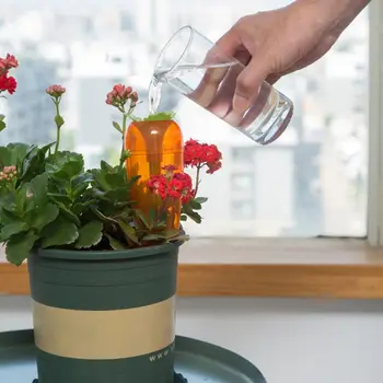 

Automatic Watering Device Irrigation Bottle Multifunctional Lazy Flower Waterer Green Plant 1