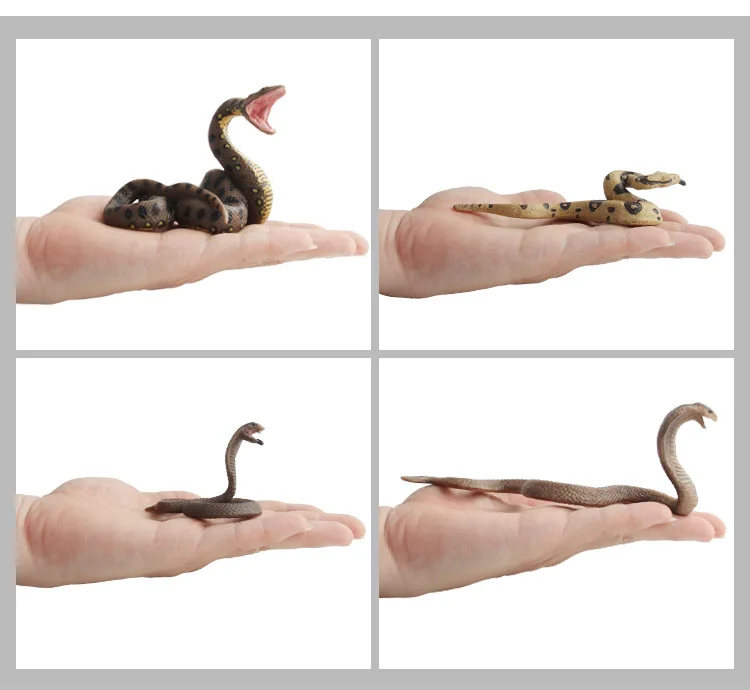 9140848786_920392923