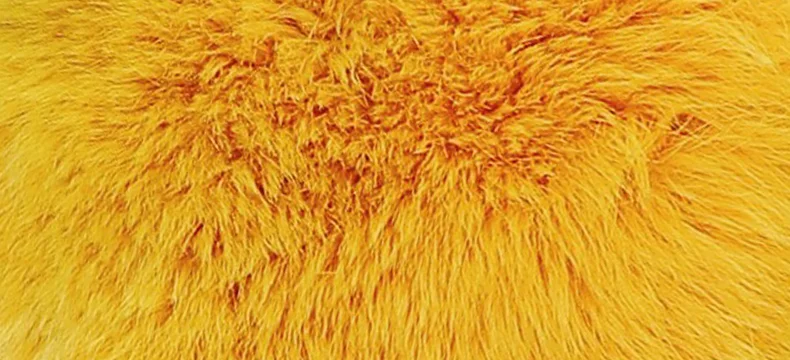 O1CN011gKNRGGnBUFxfoN_!!2185944123