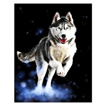 

Paint By Numbers Kits for Adult, DIY Canvas Painting for Adults Beginner-(Husky)