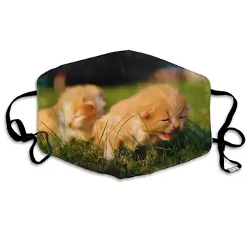 

Unisex Print Mouth Mask - Cute Kitten On The Grass Polyester Anti-dust Mouth-Muffle - Fashion Washed Reusable Face Masks for