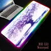 Computer Peripherals