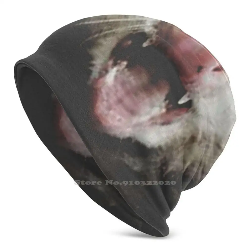 Possum Maw Ciclismo Sci Outdoor Cap Unisex Possum Poss Oposs Opossum Bab Trash Scream Terrore Eterno