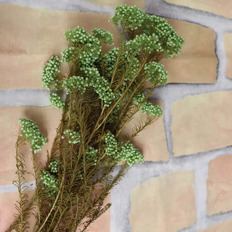 45 50/г цветок просо вечный рисовый рисовая трава DIY Украшение дома Цветочная